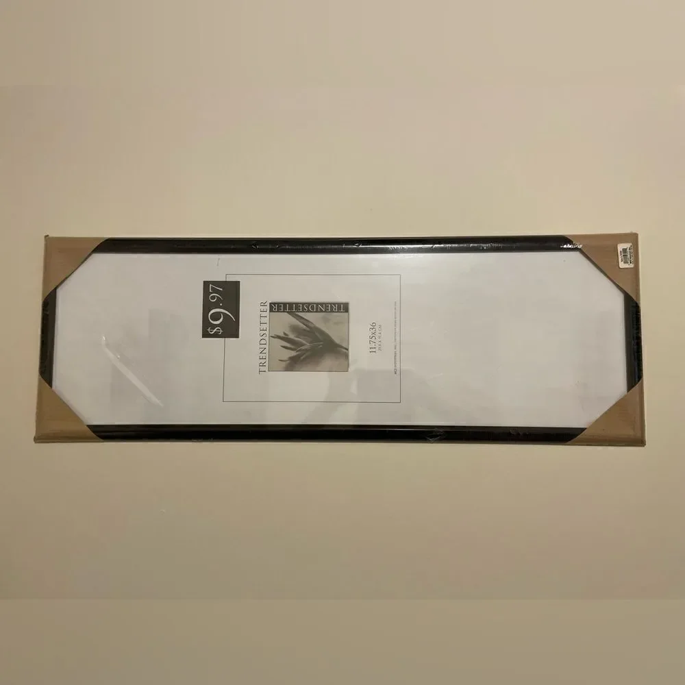 NEW Trendsetter Poster Frame Landscape or Portrait 11.75” x 36”